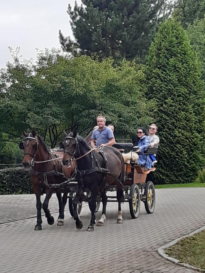 Der Perfekte Ausgangspunkt Daire Konigerode Dış mekan fotoğraf
