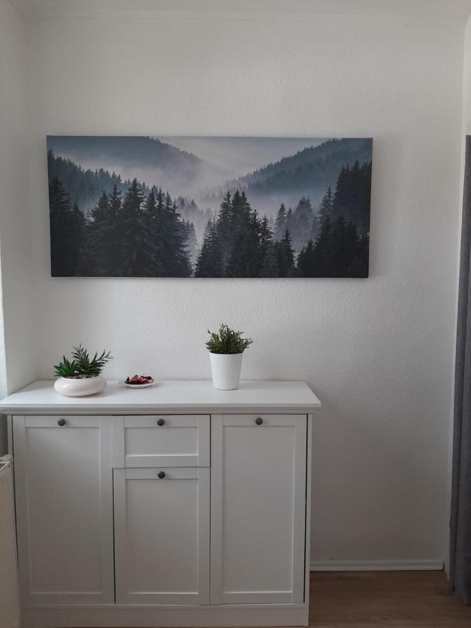 Der Perfekte Ausgangspunkt Daire Konigerode Dış mekan fotoğraf